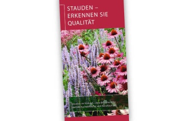BdS-Broschüre „Stauden-erkennen Sie Qualität“ neu aufgelegt
