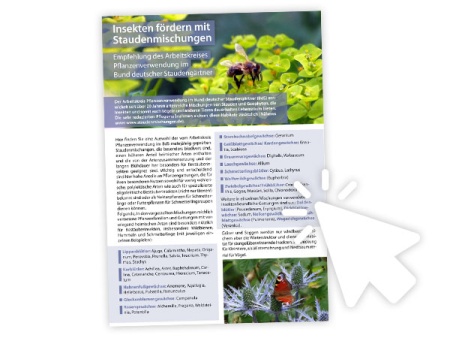 Insekten fördern mit Staudenmischungen