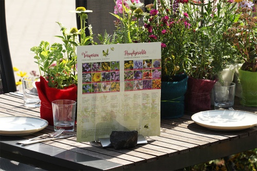 Stauden-Menue für Insekten