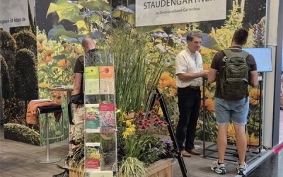Staudenkenntnisse fördern für mehr Stadtgrün