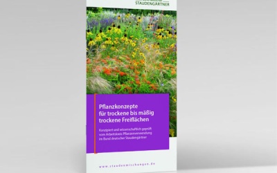 Neue Broschüre zu klimatauglichen und biodiversen Staudenmischungen