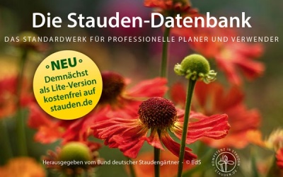 Der BdS gibt zur GALABAU Onlineversion der Staudendatenbank kostenlos für Berufseinsteiger frei