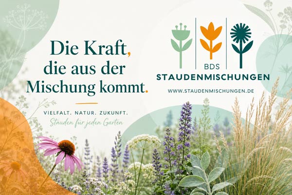 Die Kraft, die aus der Mischung kommt