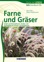 BdS Handbuch IIIb Farne und Gräser