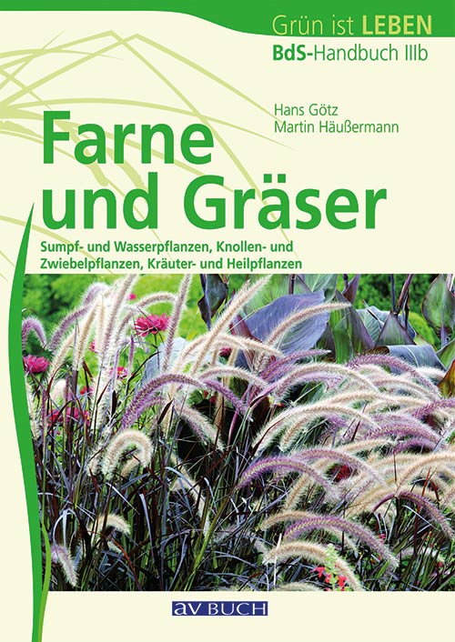 BdS Handbuch IIIb Farne und Gräser